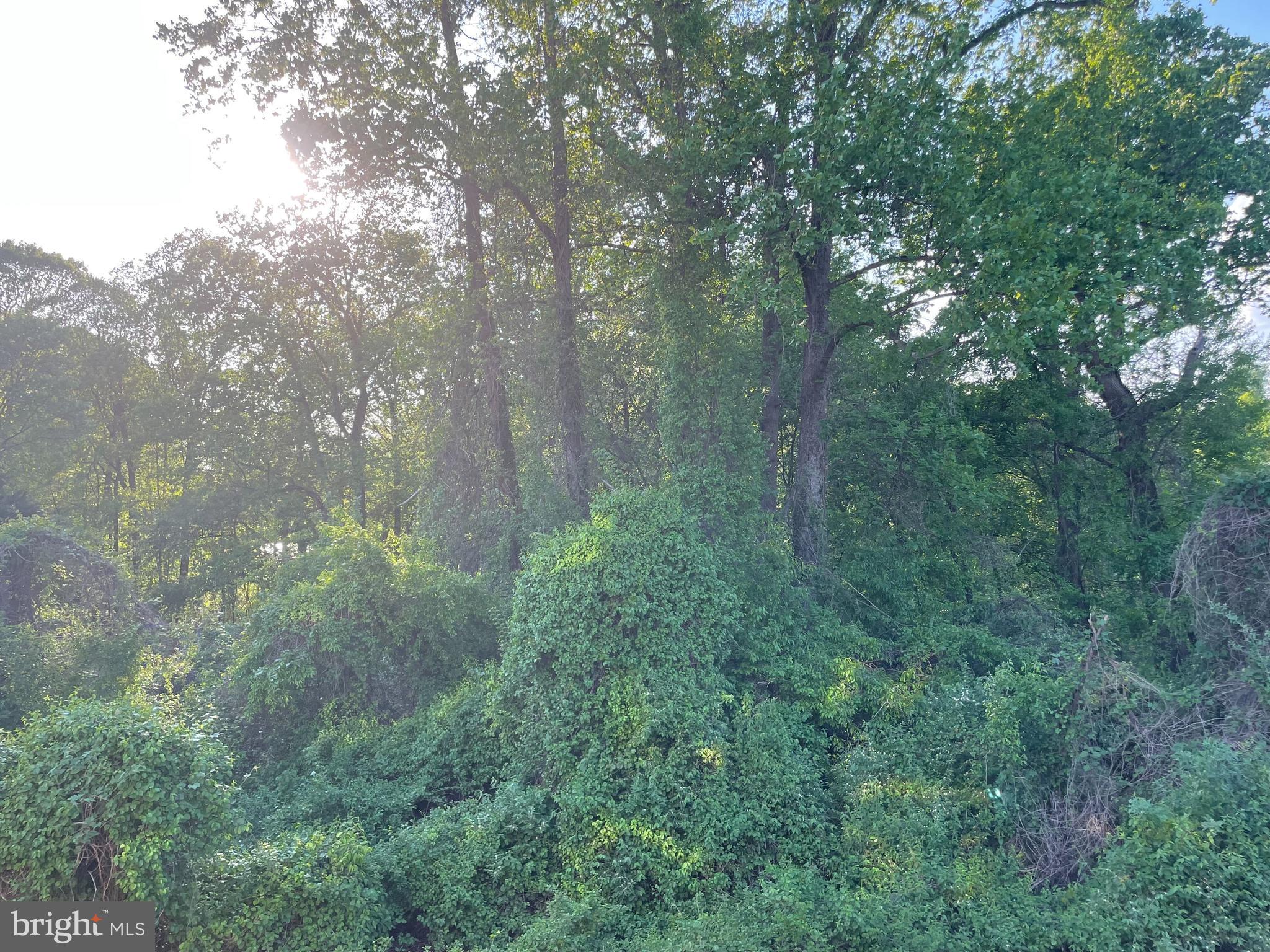 STONE CREEK CROSSING - Residential