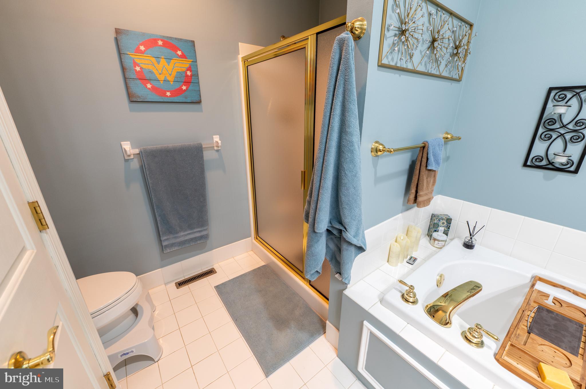 VILLAS AT TREXLER PK - Residential