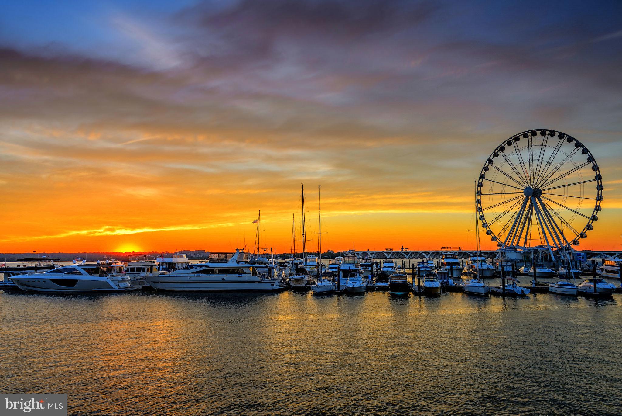 FORT WASHINGTON ESTATES - Residential
