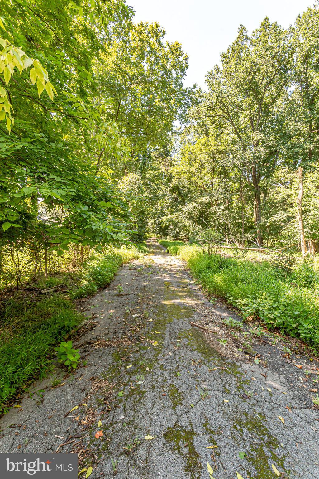 FORT WASHINGTON ESTATES - Residential