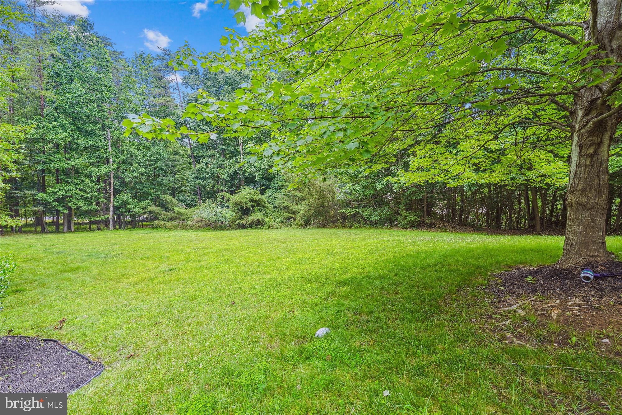 MALVERN CHASE - Residential