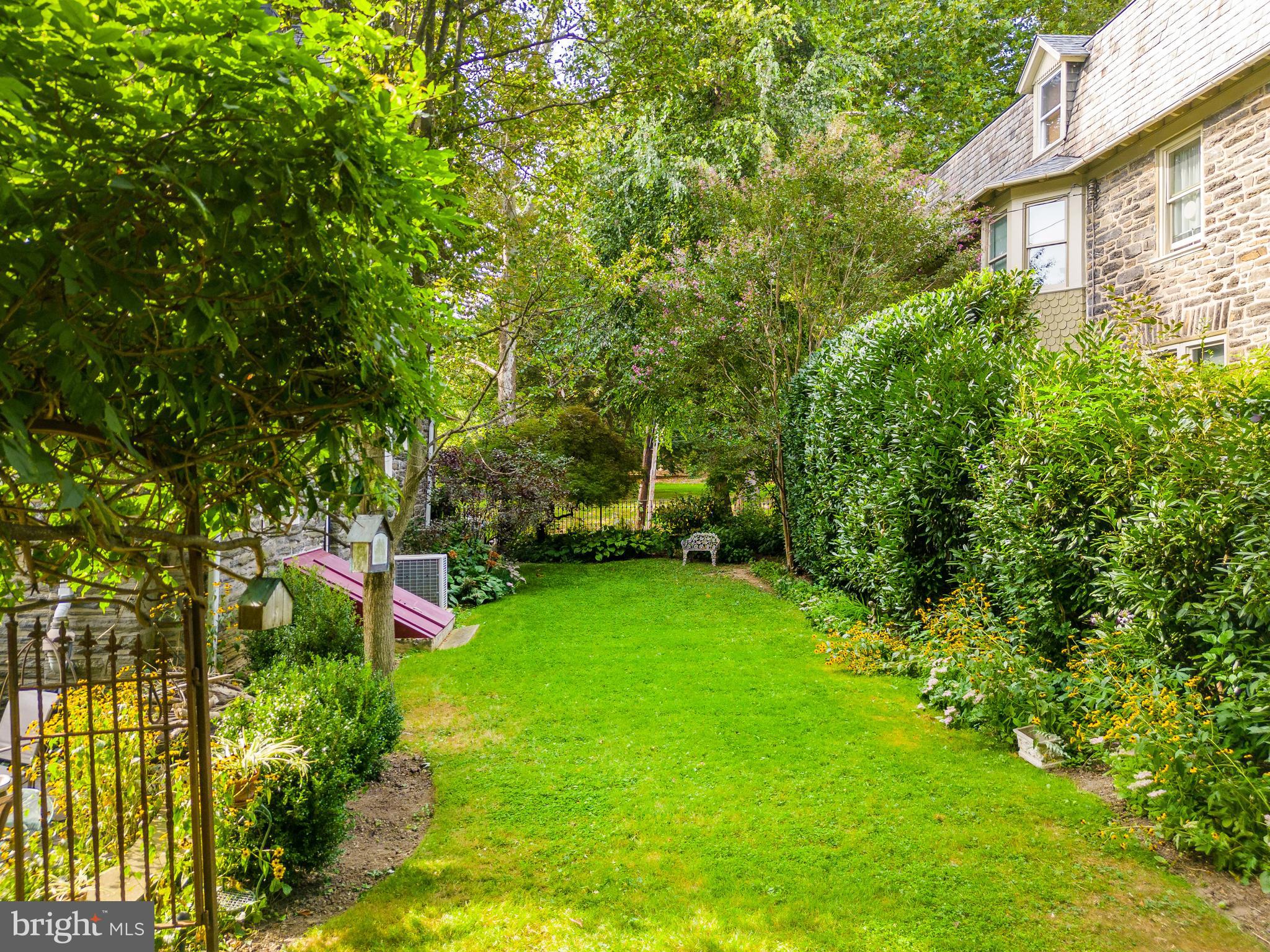 CHESTNUT HILL - Residential