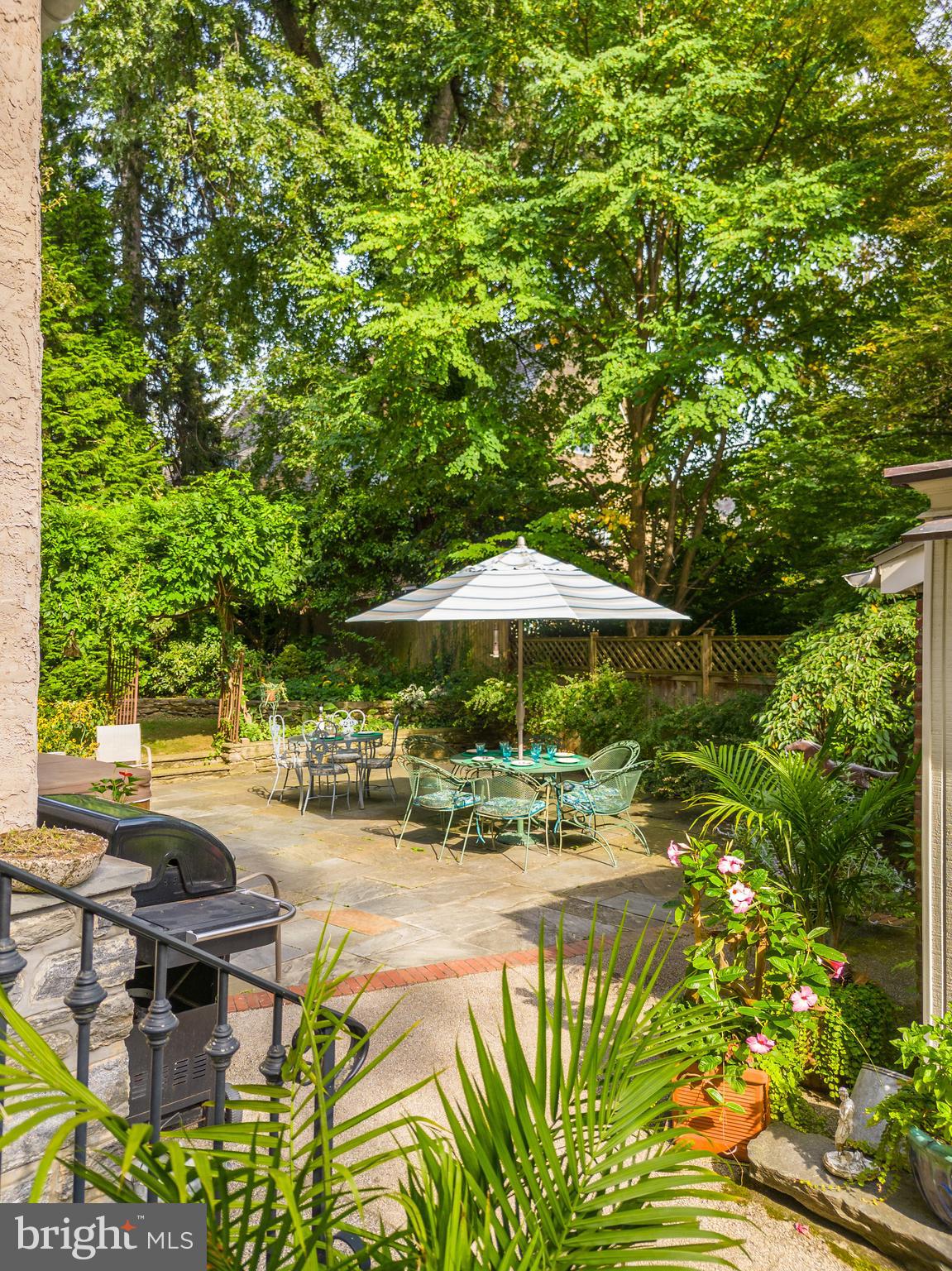 CHESTNUT HILL - Residential