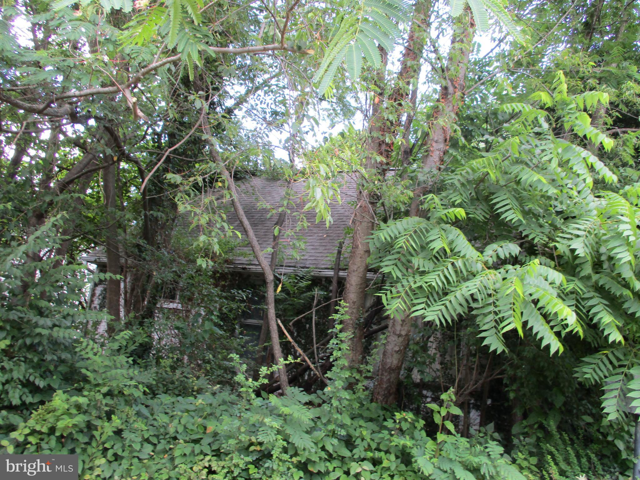 CANDLE BROOK - Residential