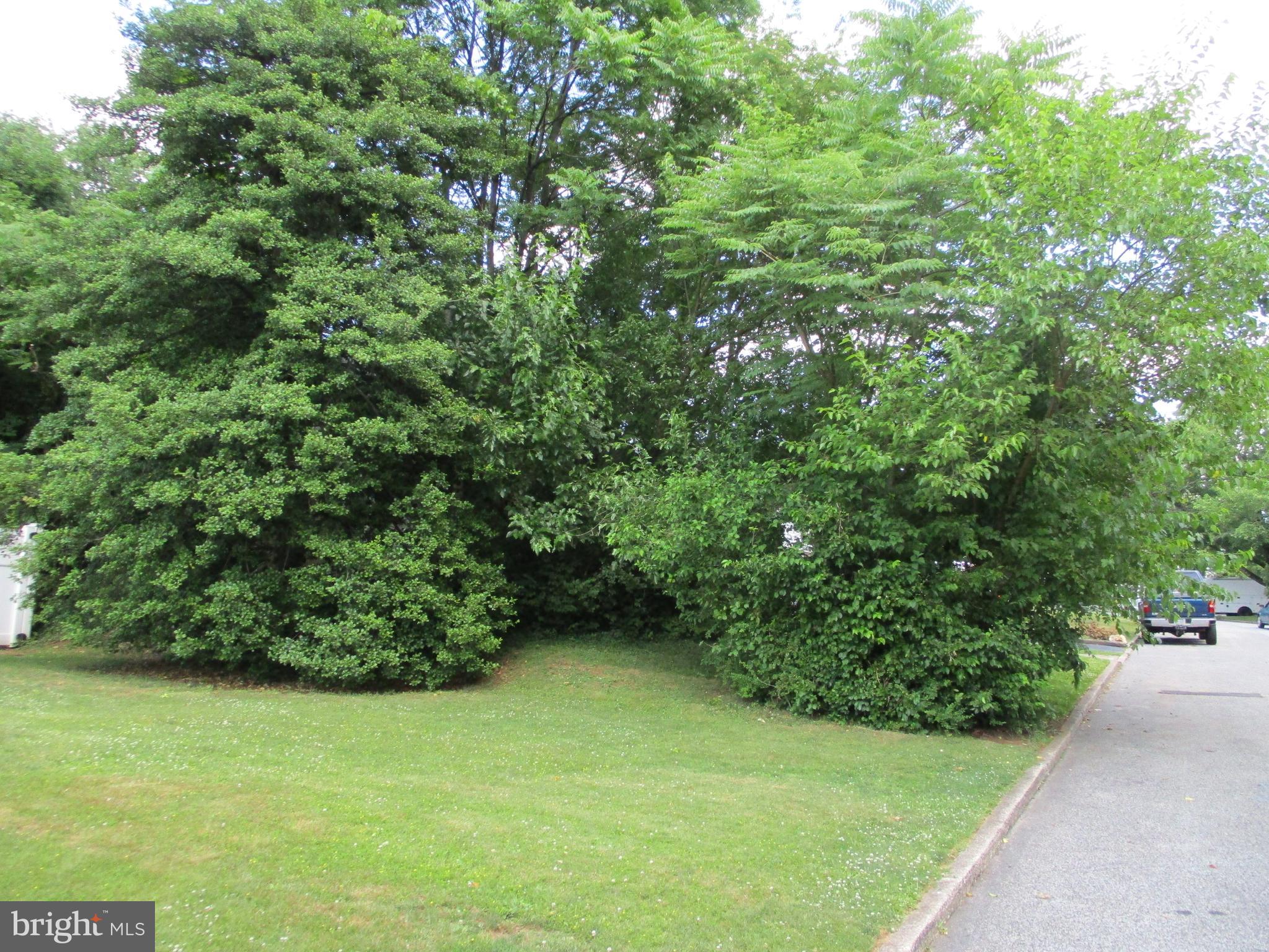 CANDLE BROOK - Residential