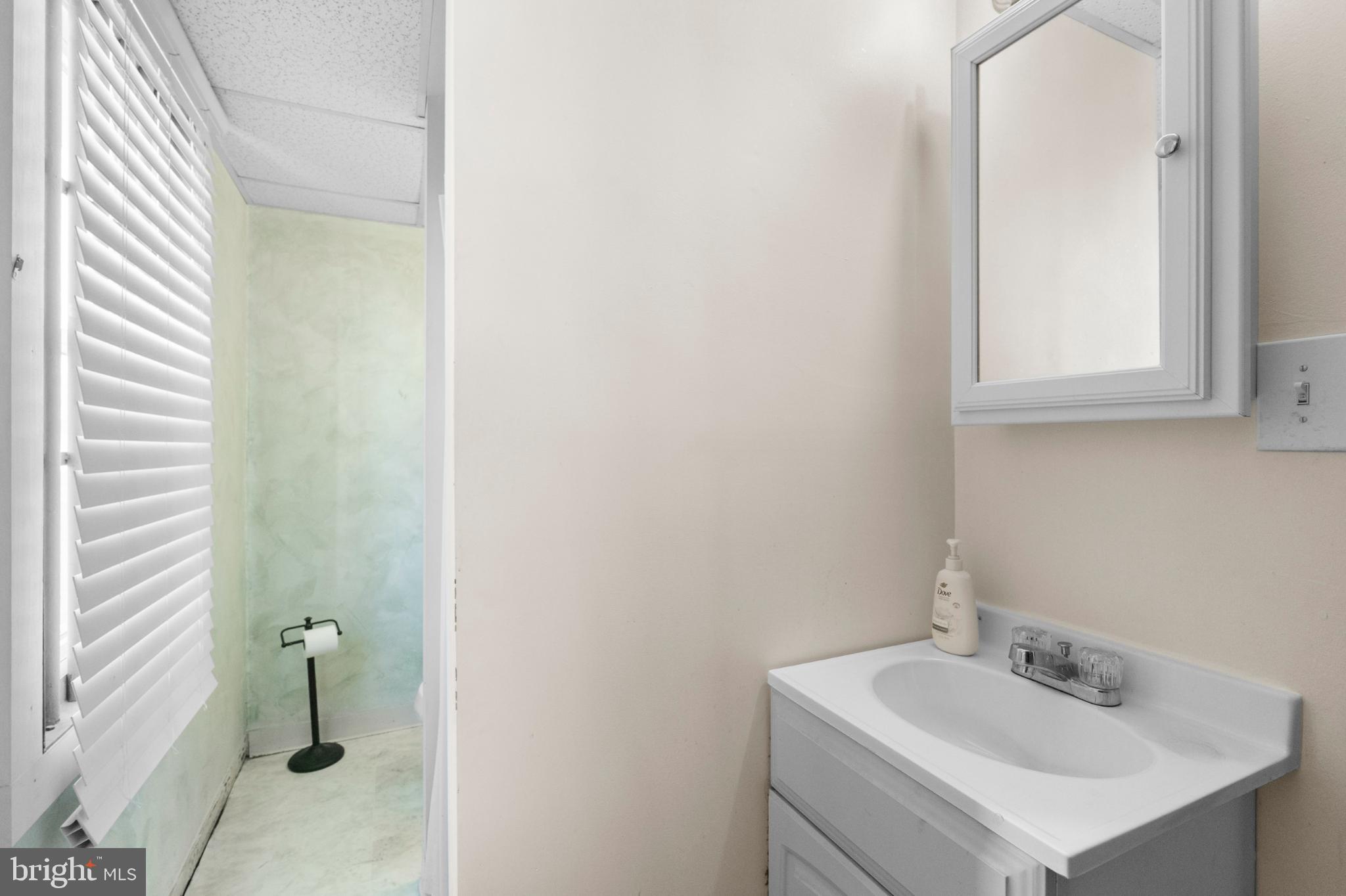 PIGTOWN HISTORIC DISTRICT - Commercial Sale