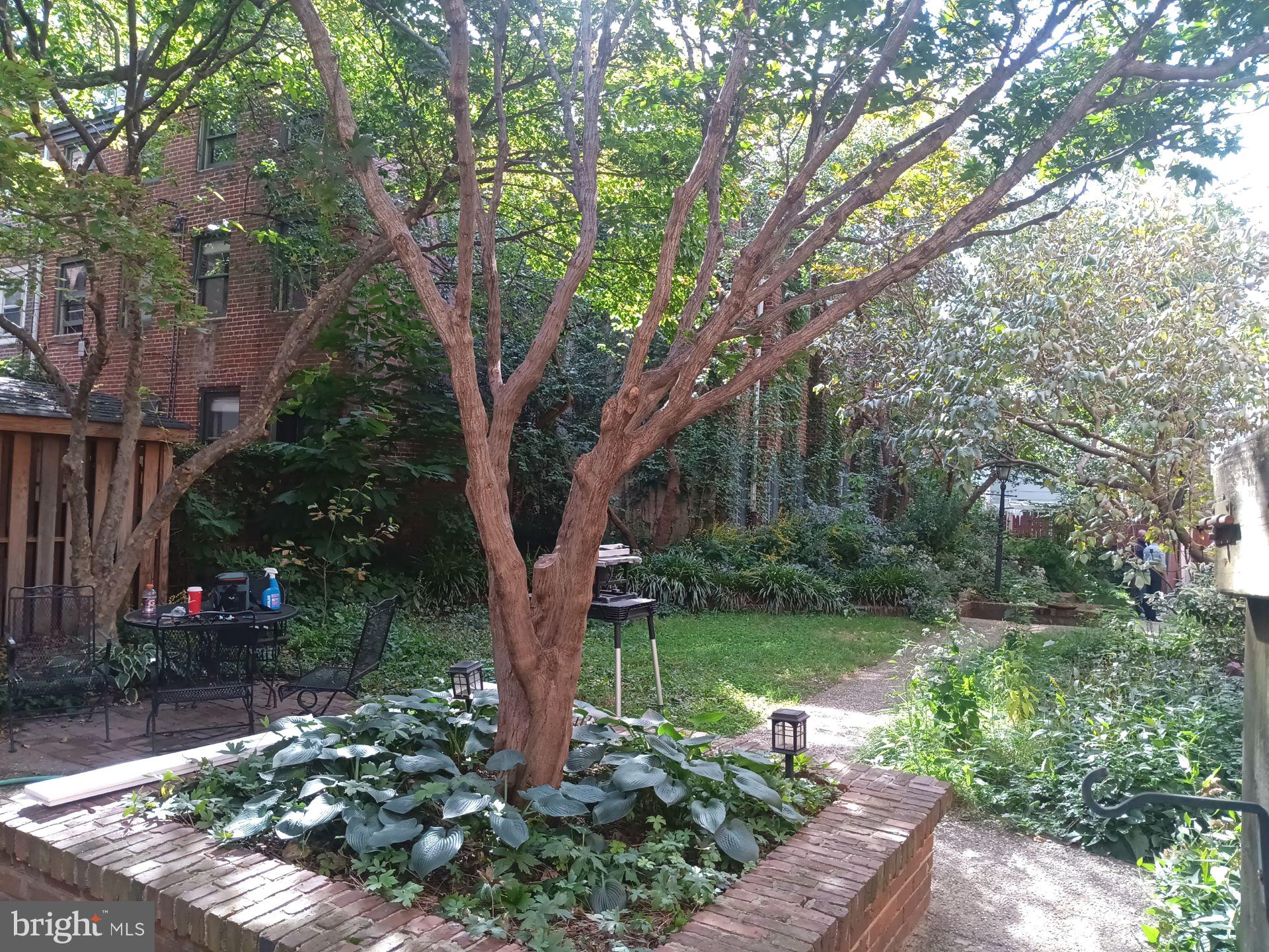 QUEEN VILLAGE - Residential