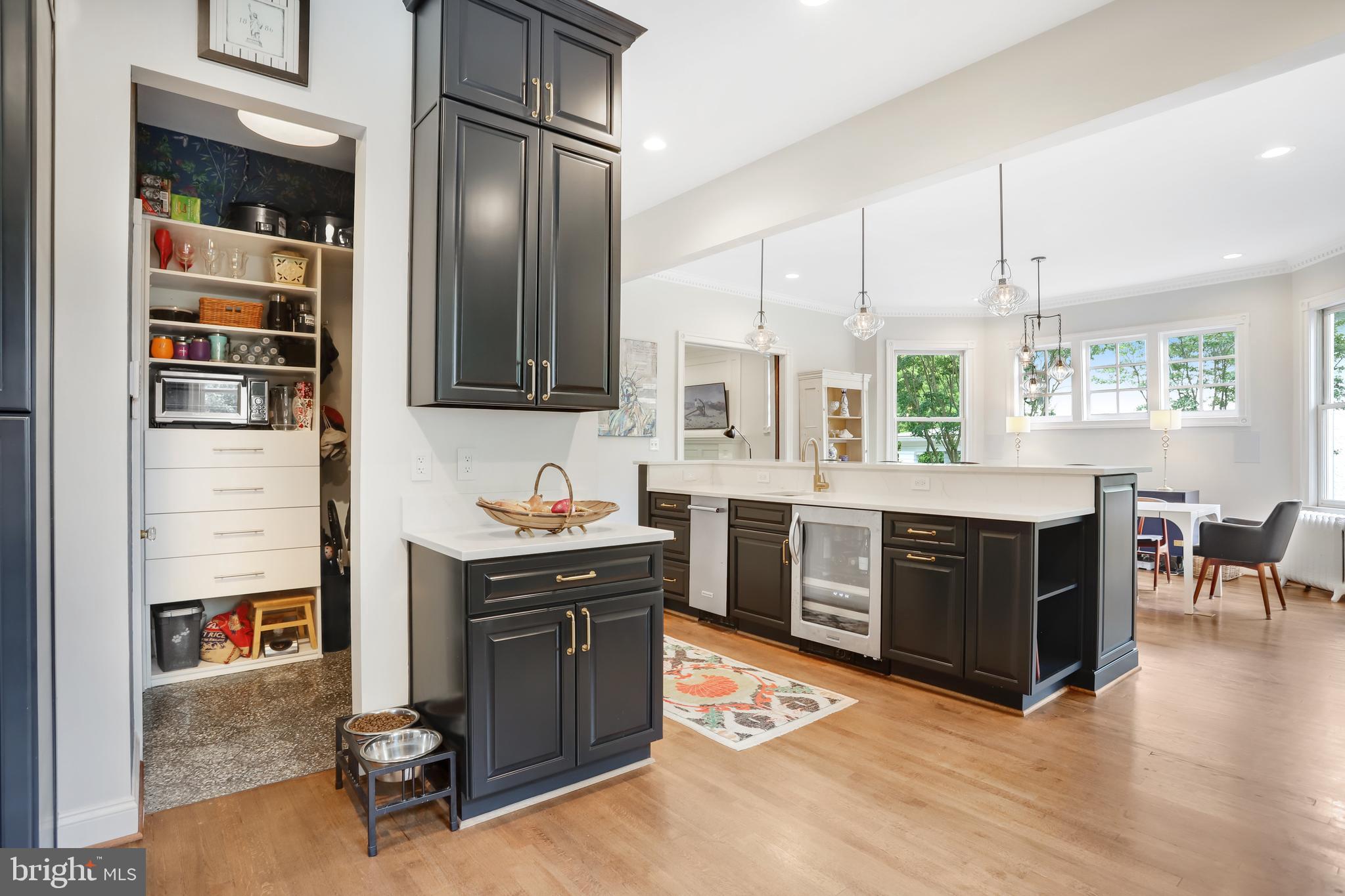 CHEVY CHASE - Residential