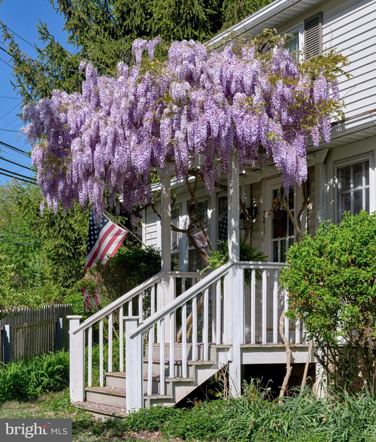 7411 TOHICKON HILL