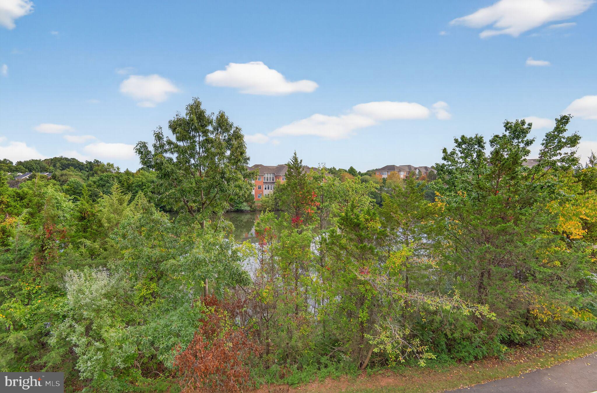 46090 LAKE CENTER PLAZA 203