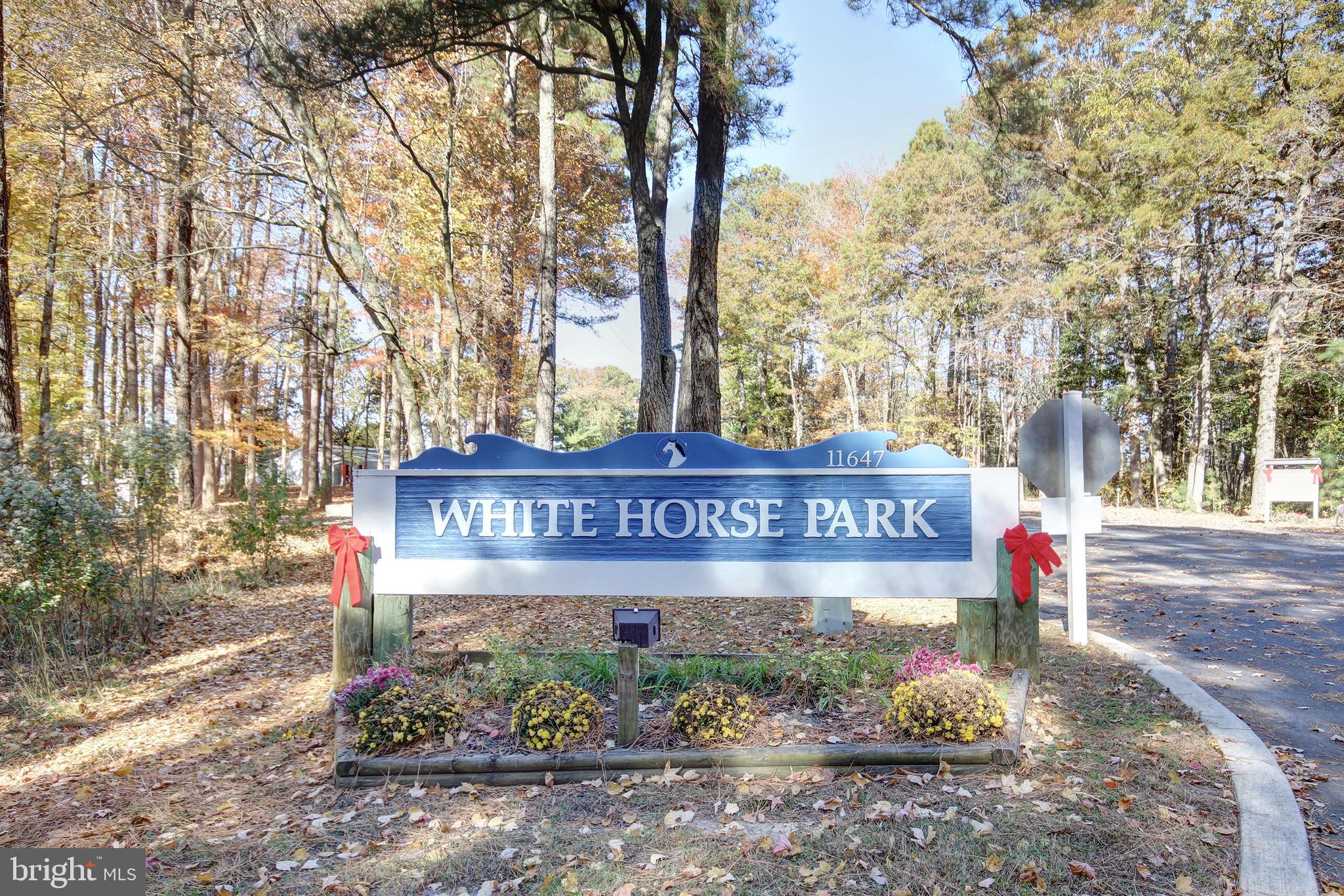 WHITE HORSE PARK I - Residential