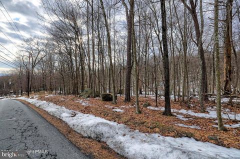 Lot 28 EAGLE PATH BUSHKILL PA 18324