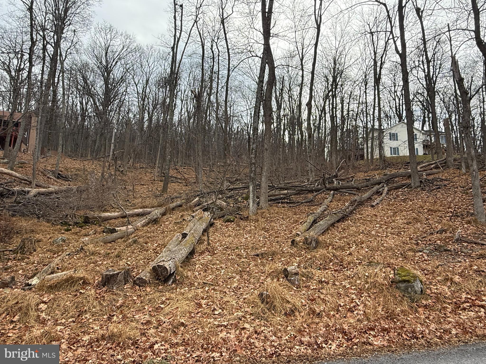 Lot 5 DEER TRAIL ROAD