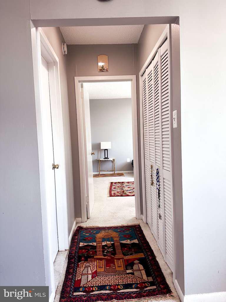 SKYLINE PLAZA - Residential