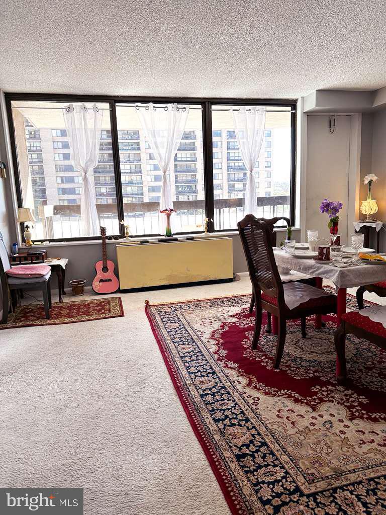 SKYLINE PLAZA - Residential