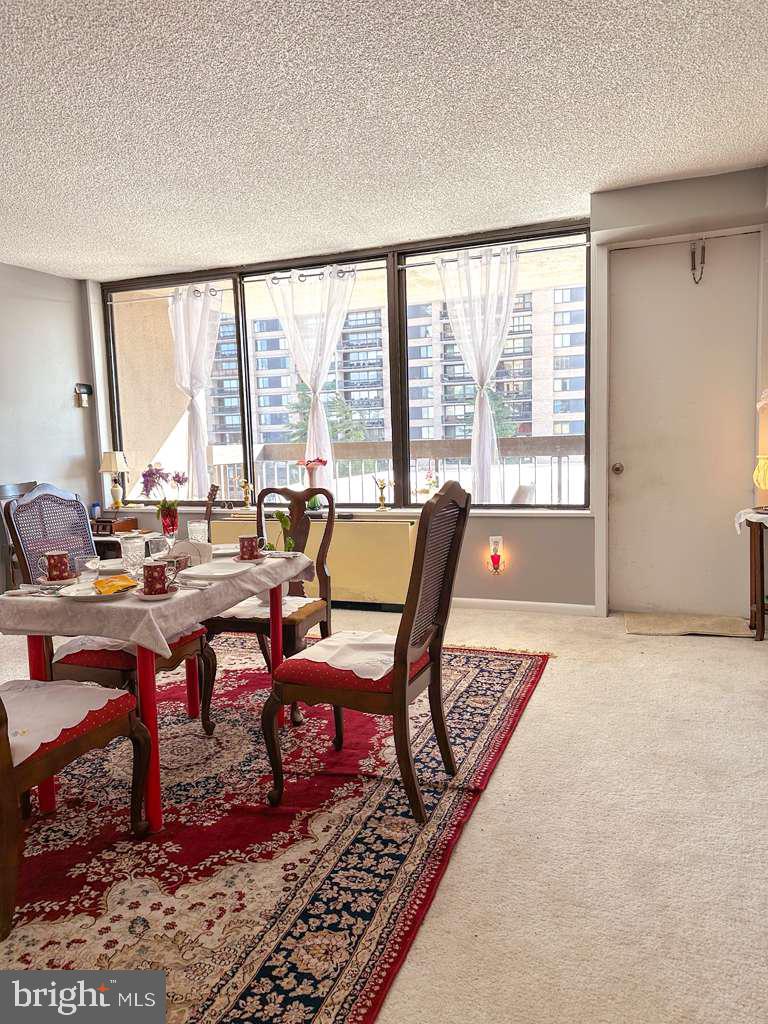 SKYLINE PLAZA - Residential