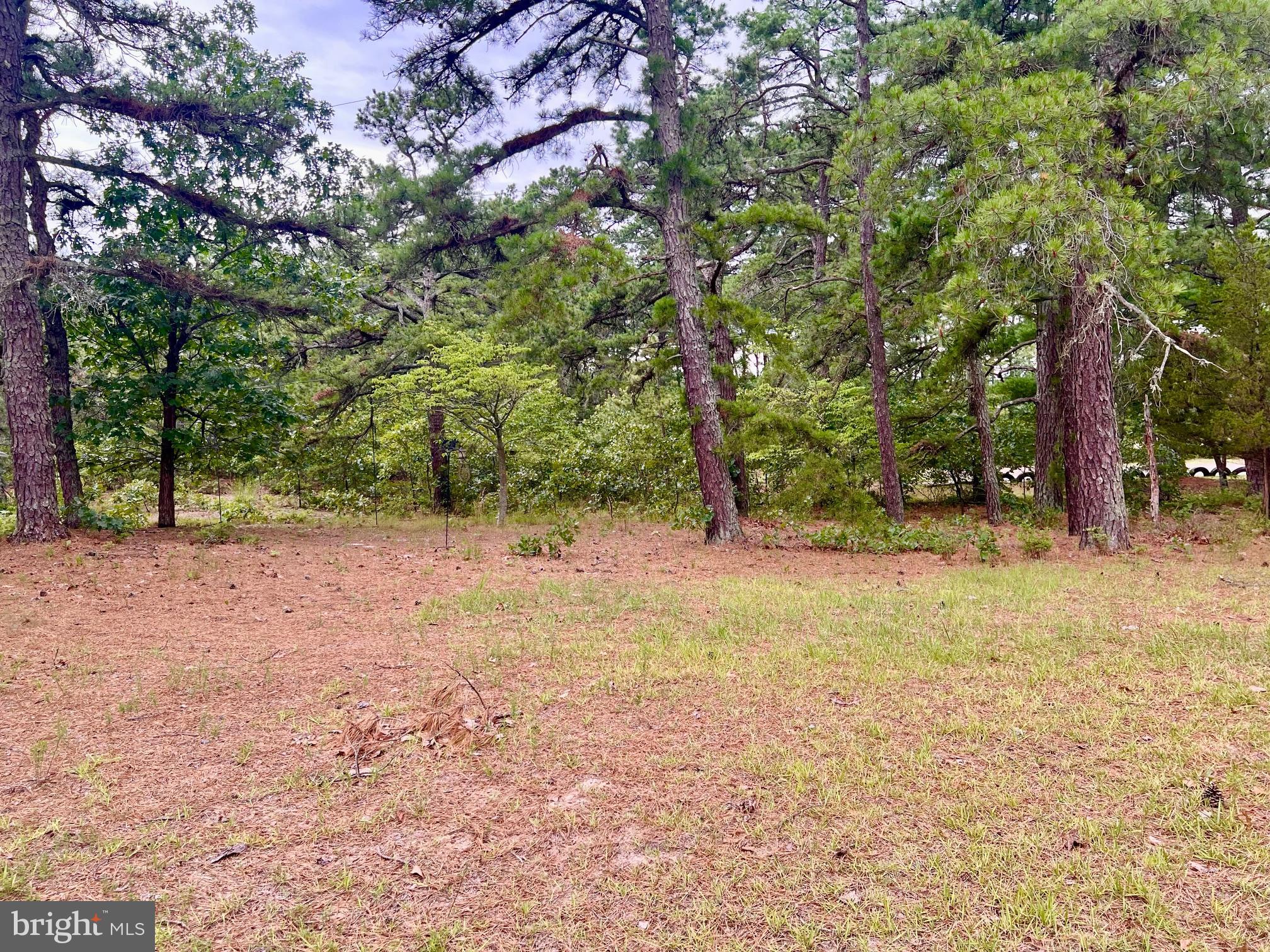 176 CITY LINE ROAD