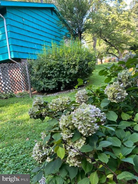 DEVON PARK - Residential