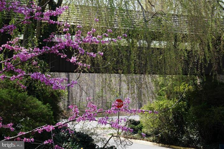 COVERED BRIDGE - Residential