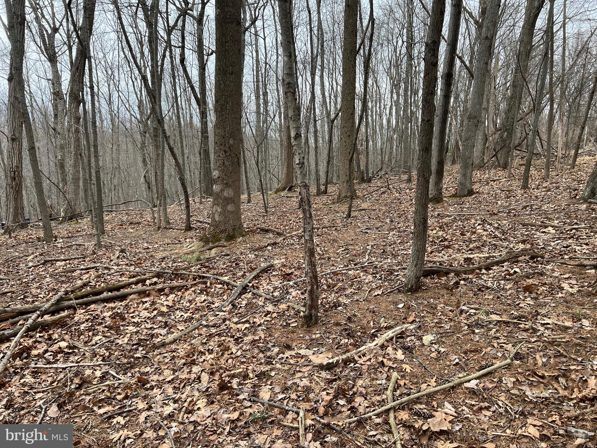 CHAZADALE NORTH - Land