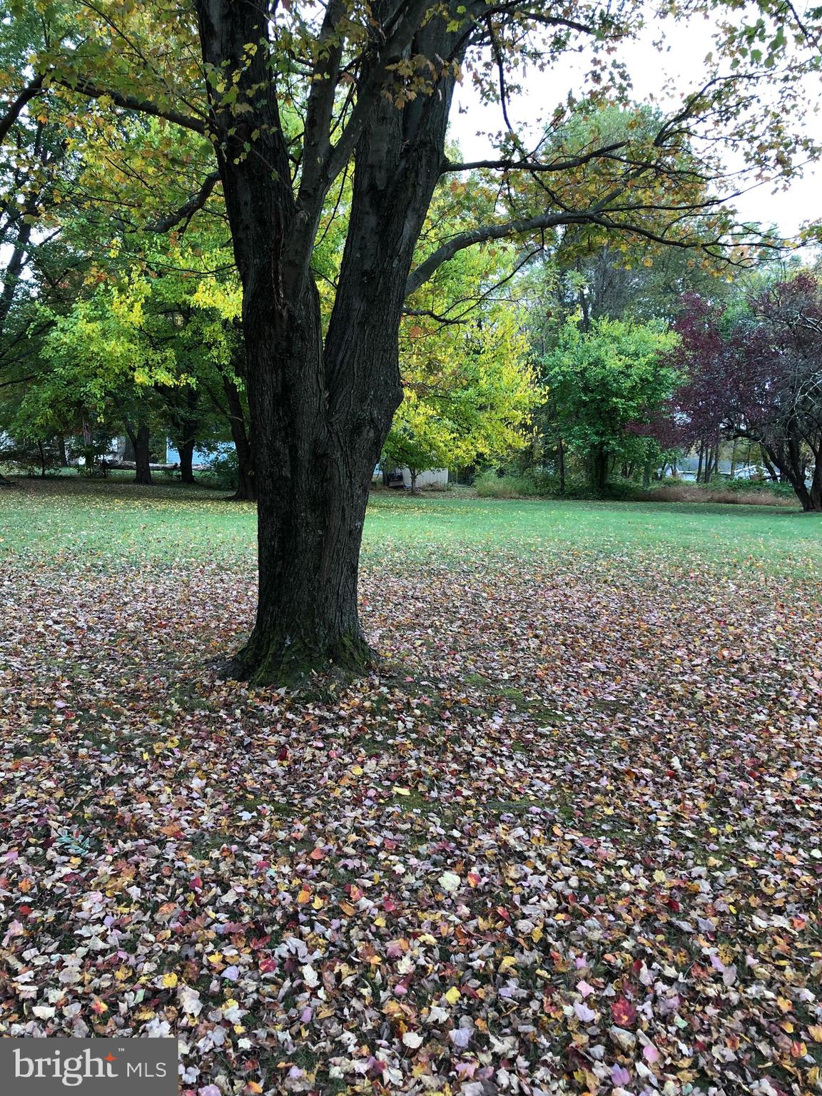 CARROLL VALLEY - Land