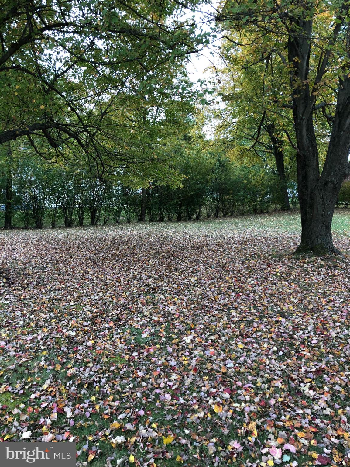 CARROLL VALLEY - Land