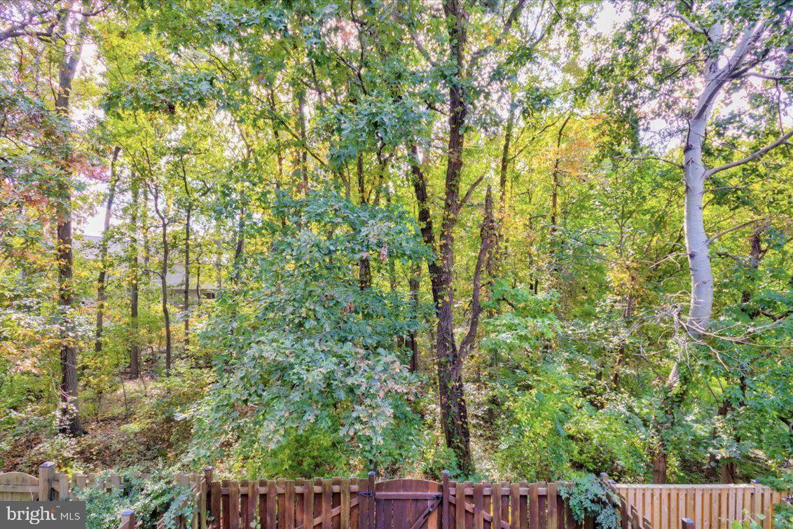 CHESTNUT HILL COVE - Residential Lease