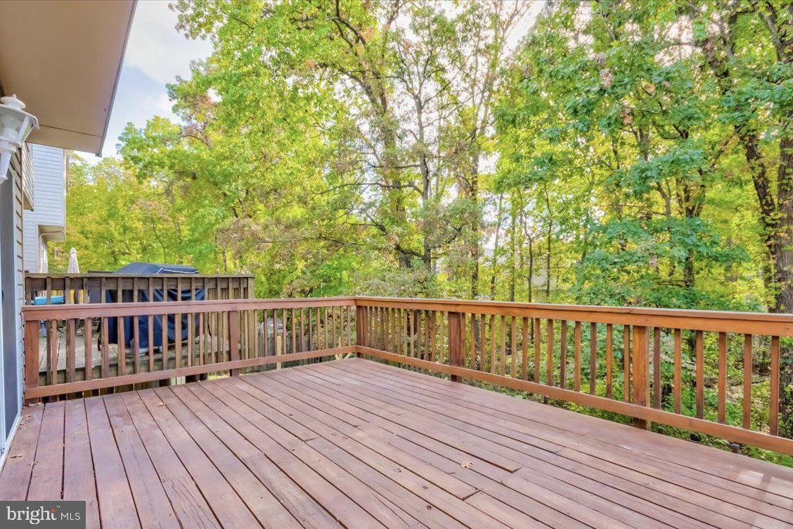 CHESTNUT HILL COVE - Residential Lease