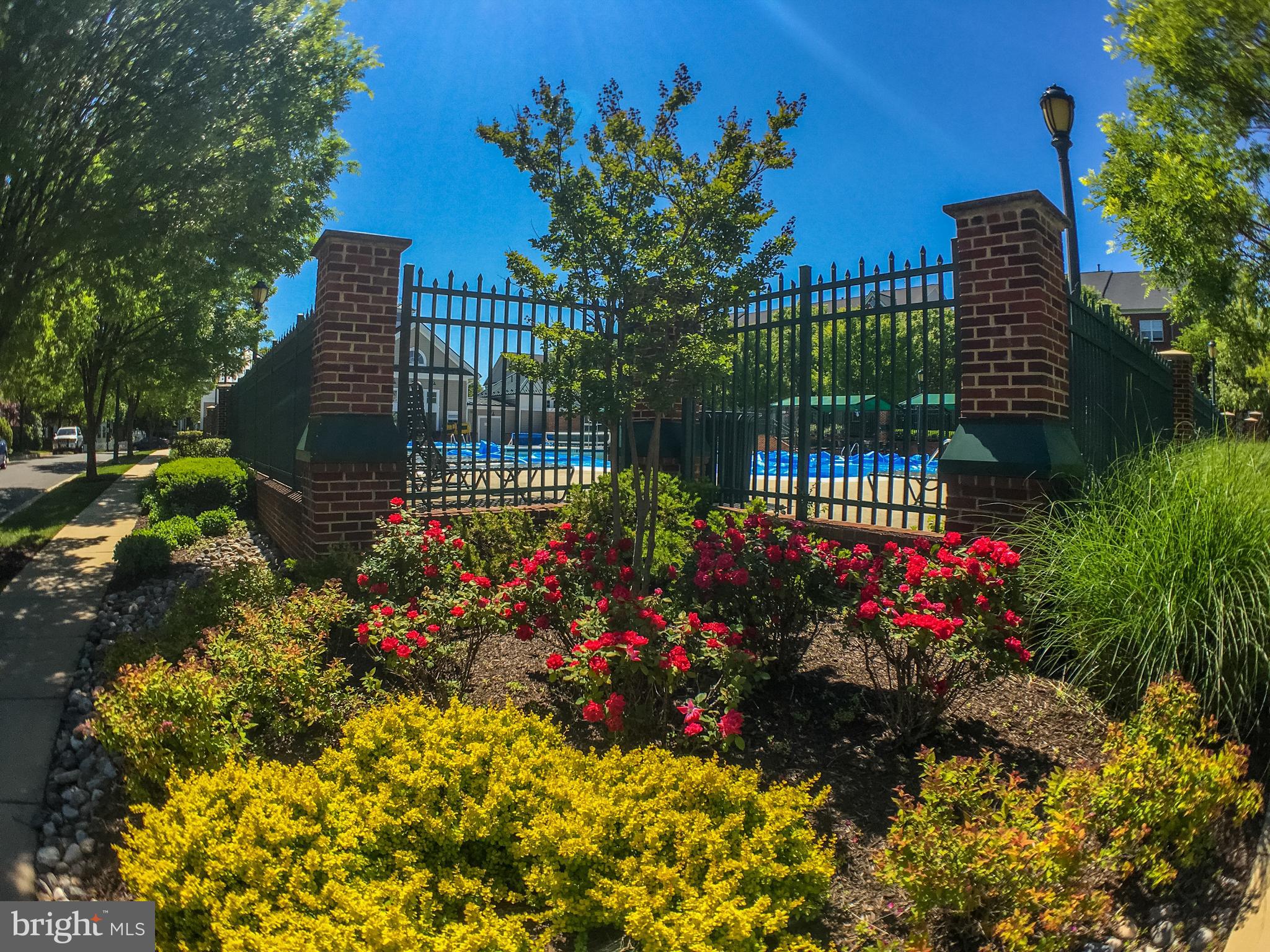 KING FARM BAILEYS COMMON - Residential Lease