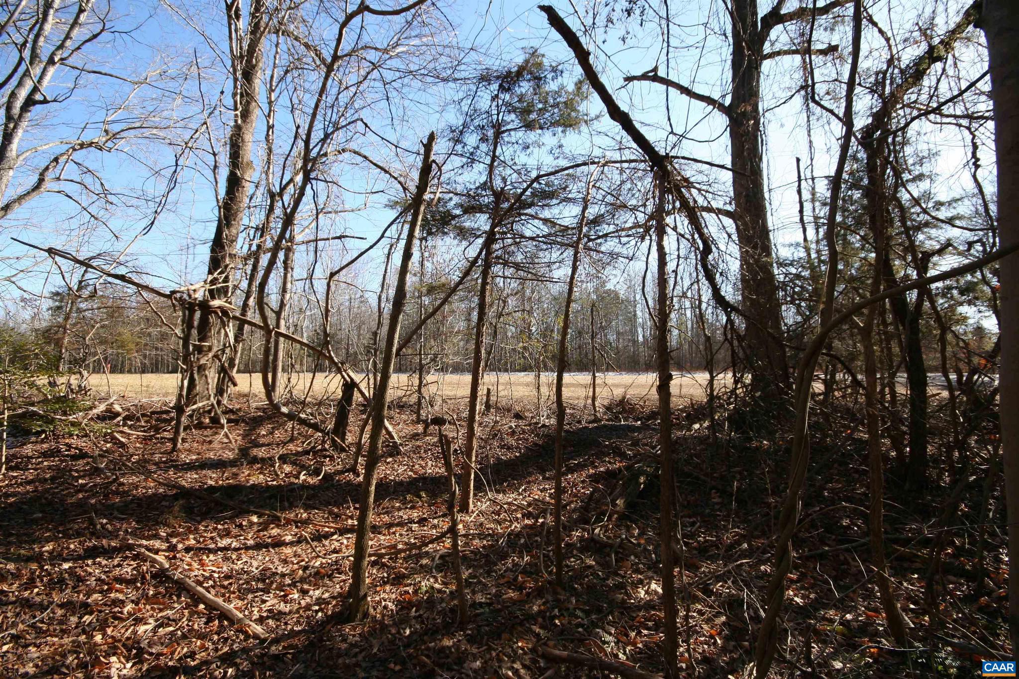 NONE AVAILABLE - Land