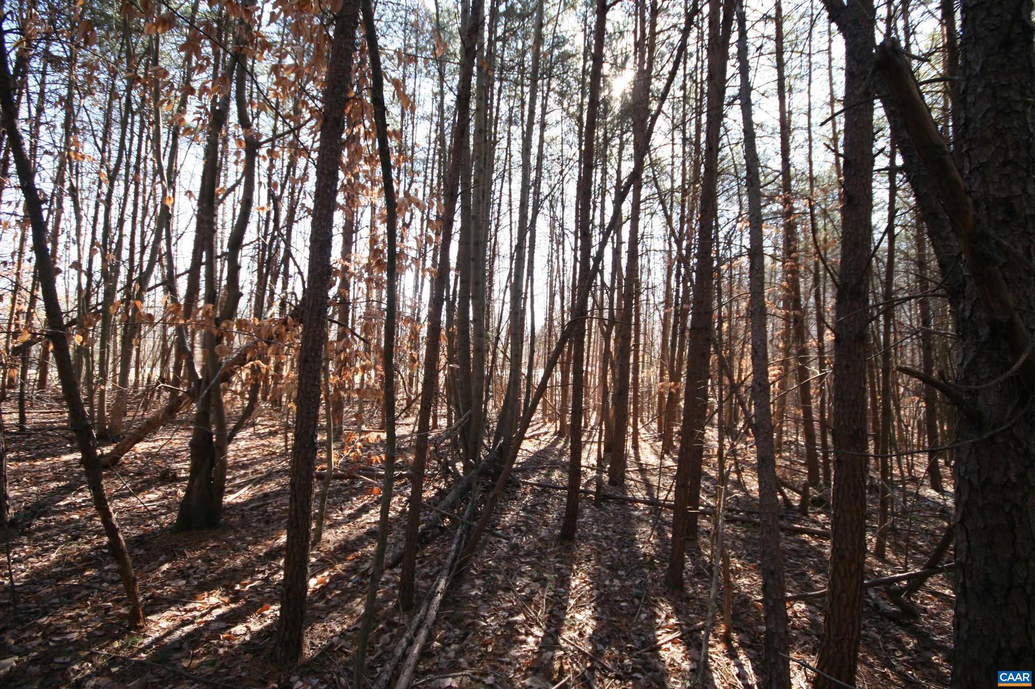 NONE AVAILABLE - Land