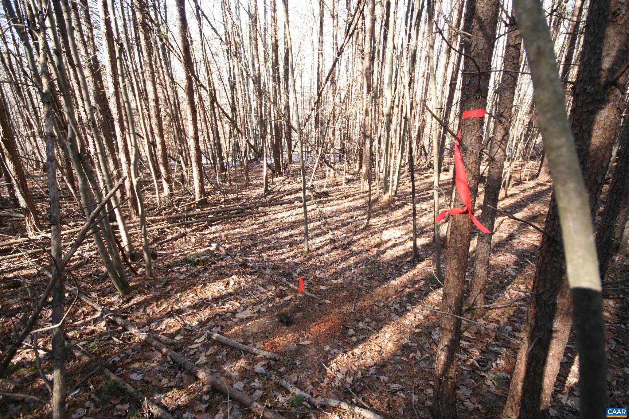 NONE AVAILABLE - Land