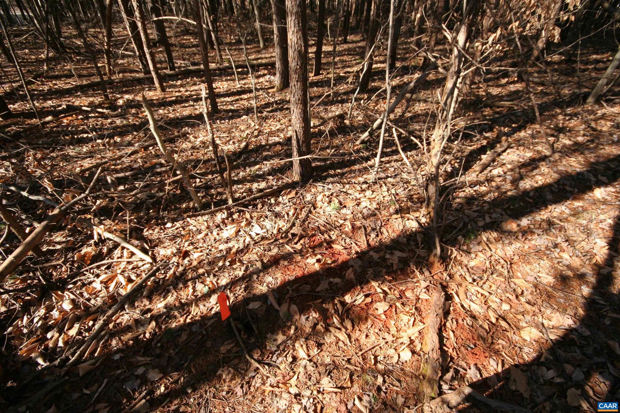 NONE AVAILABLE - Land