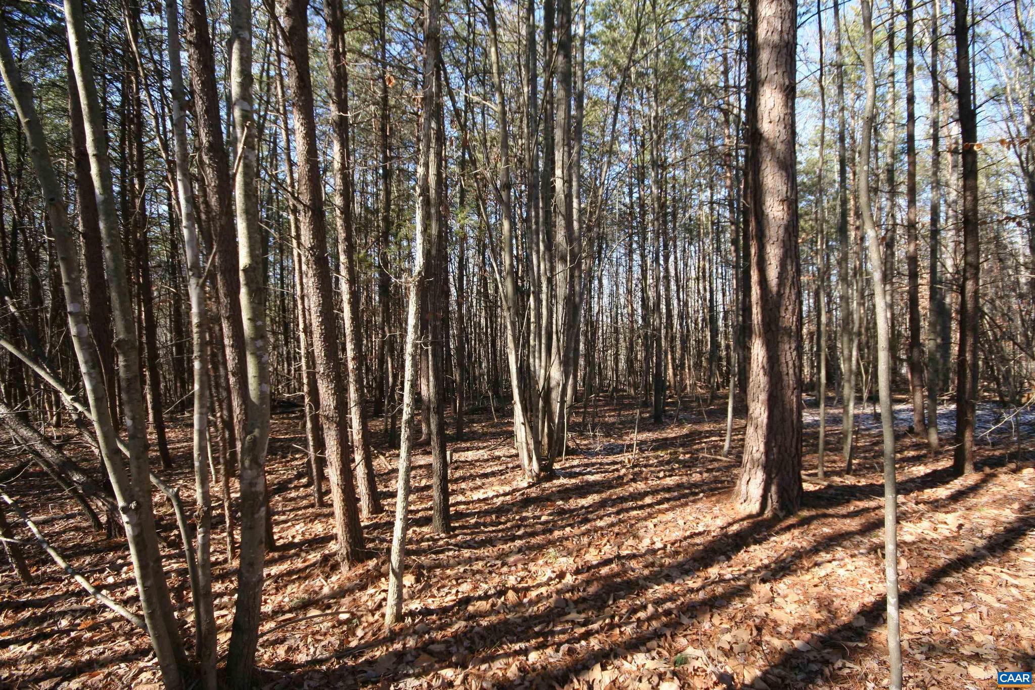 NONE AVAILABLE - Land