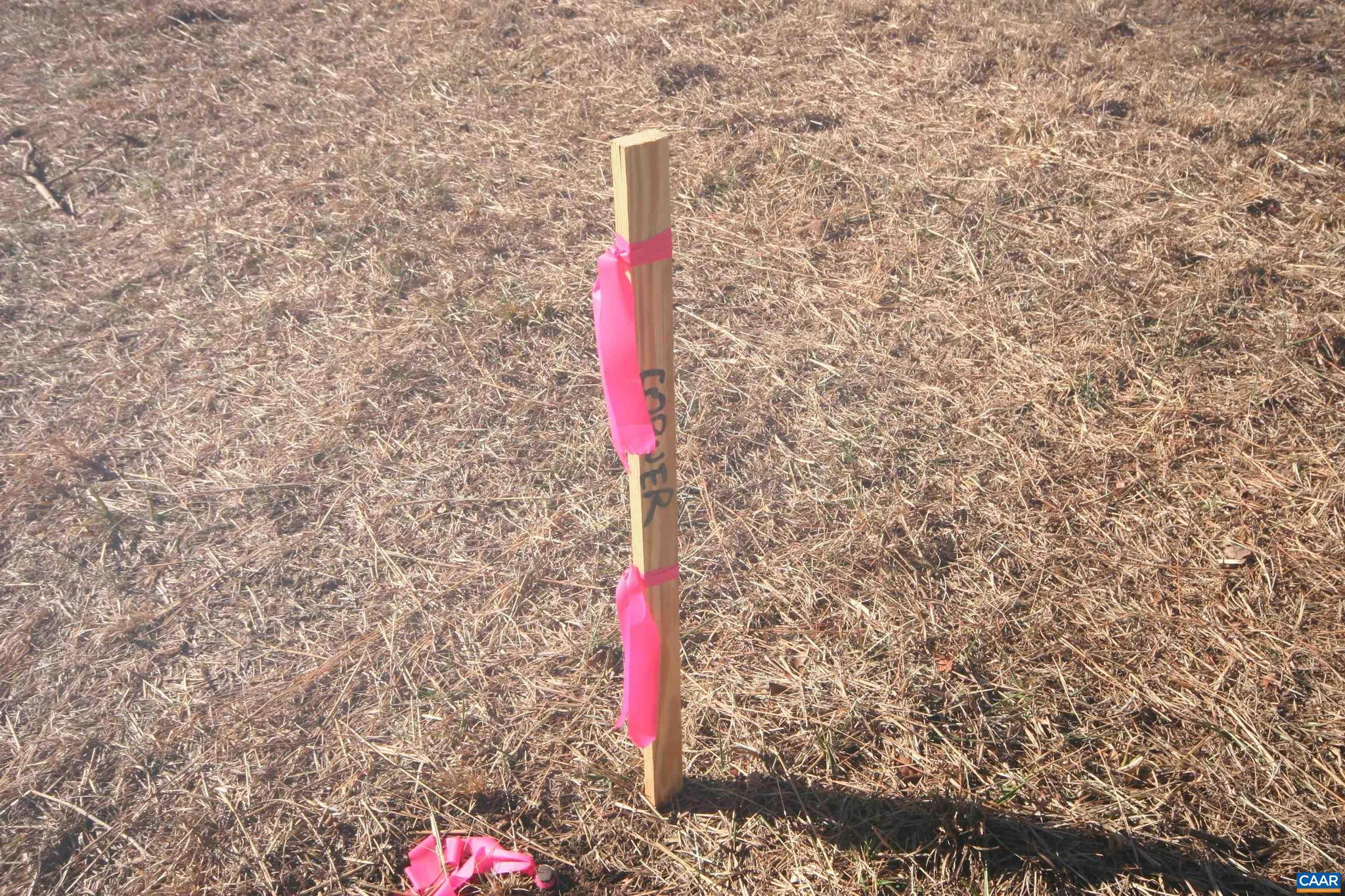 NONE AVAILABLE - Land