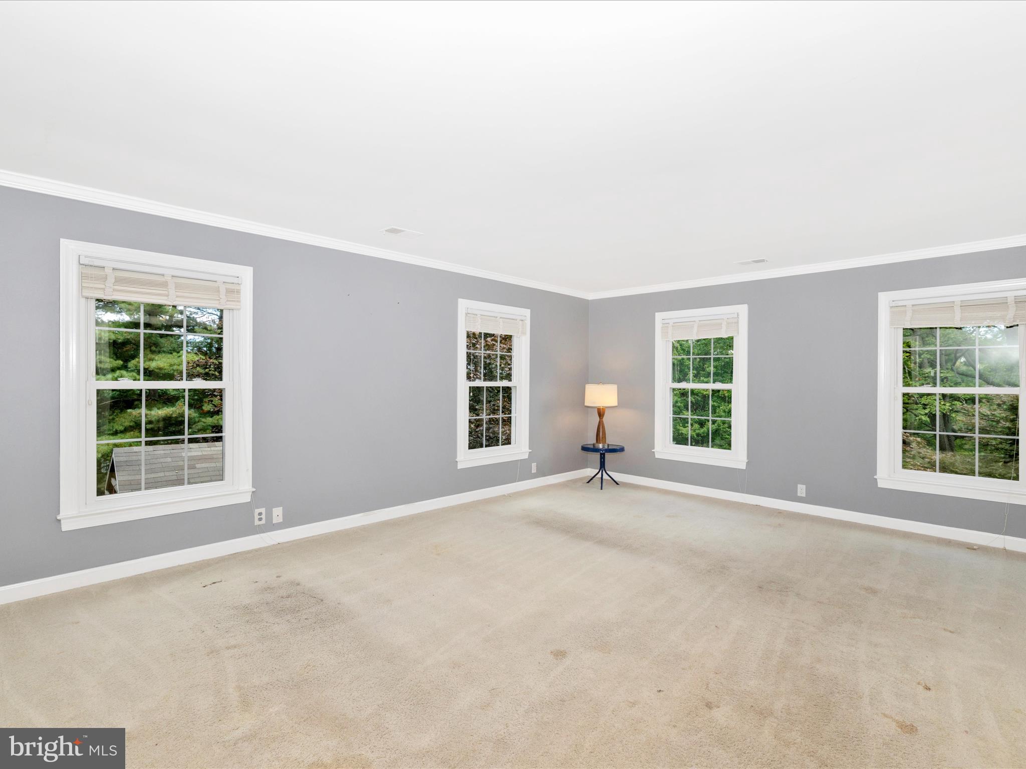 MOUNTAIN LAUREL ESTATES - Residential