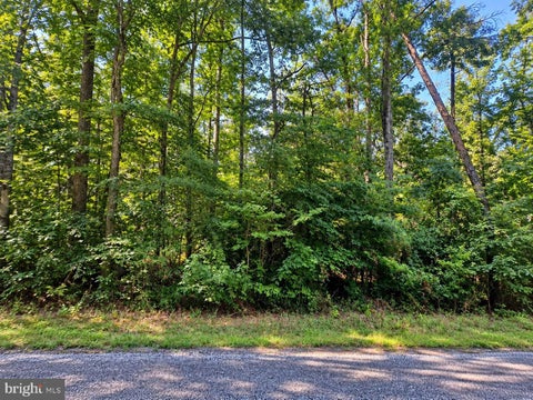 Vacant Land For Sale - Poseytown Road<br/> Charles County, NANJEMOY, MD 20662