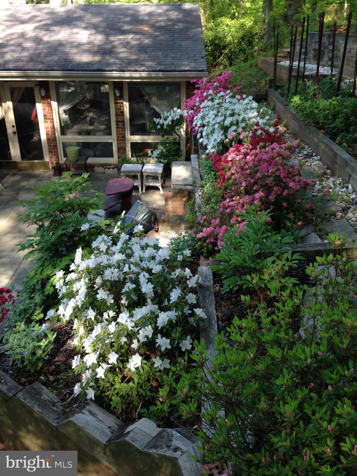 MASS AVE FOREST - Residential