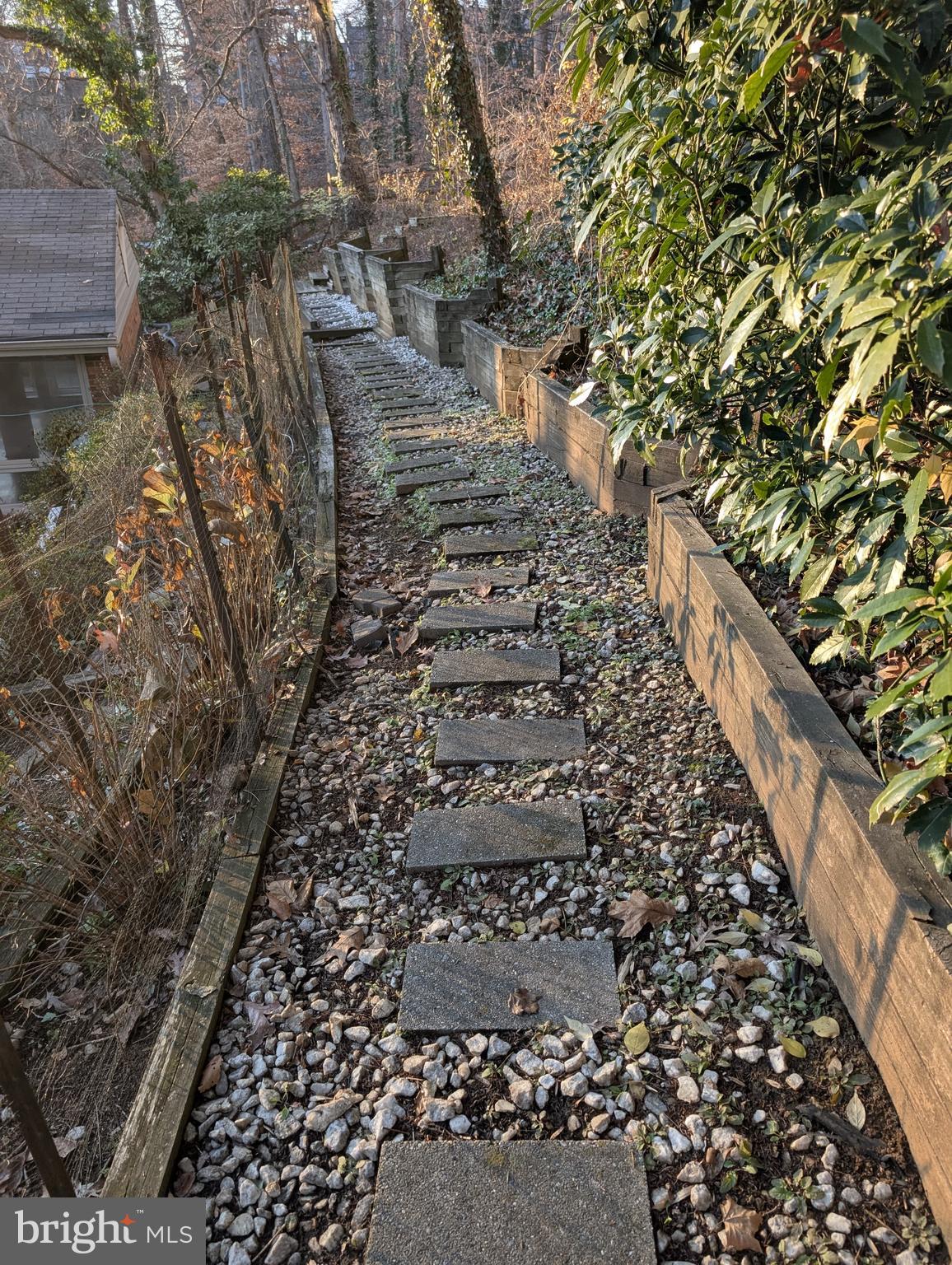 MASS AVE FOREST - Residential