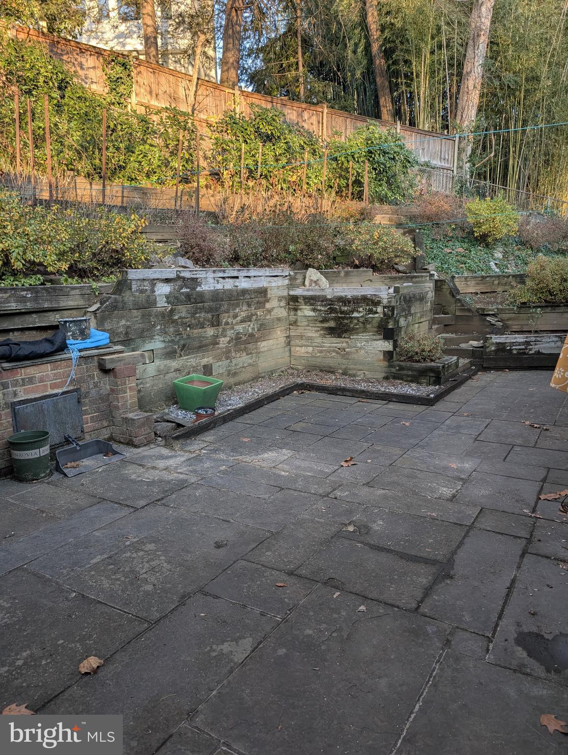 MASS AVE FOREST - Residential