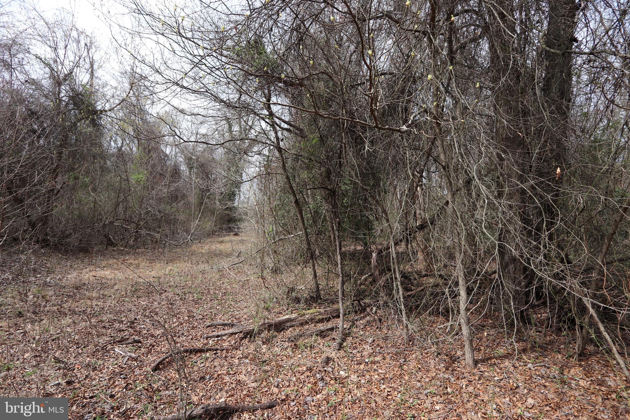 Lots 2-15 PENGUIN PLACE