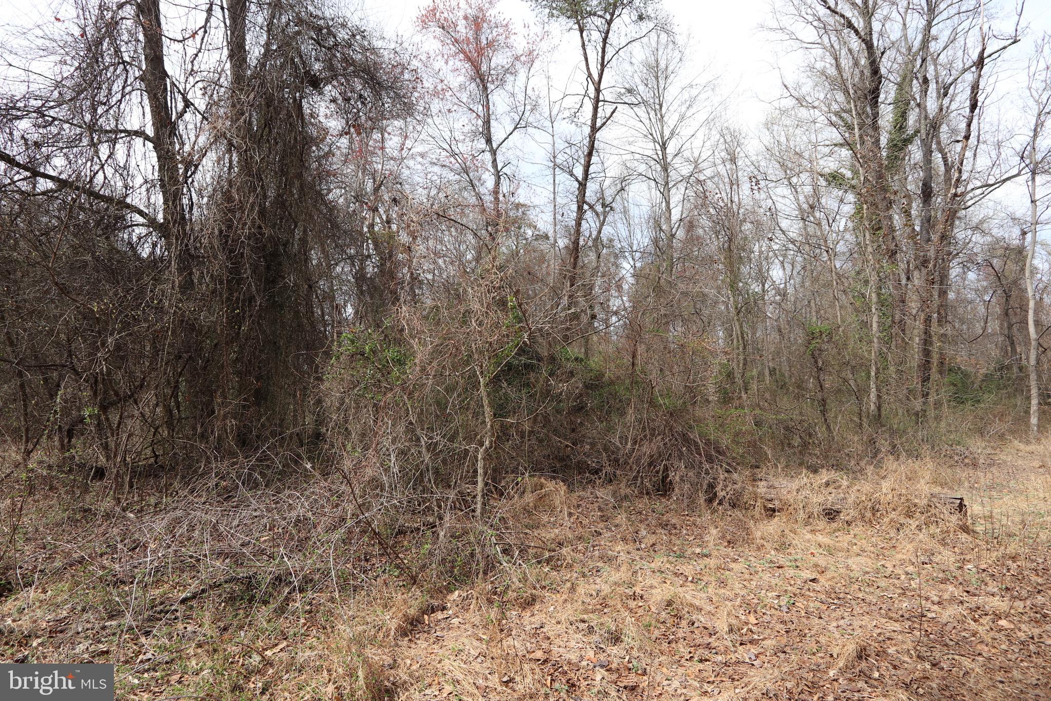 Lots 2-15 PENGUIN PLACE