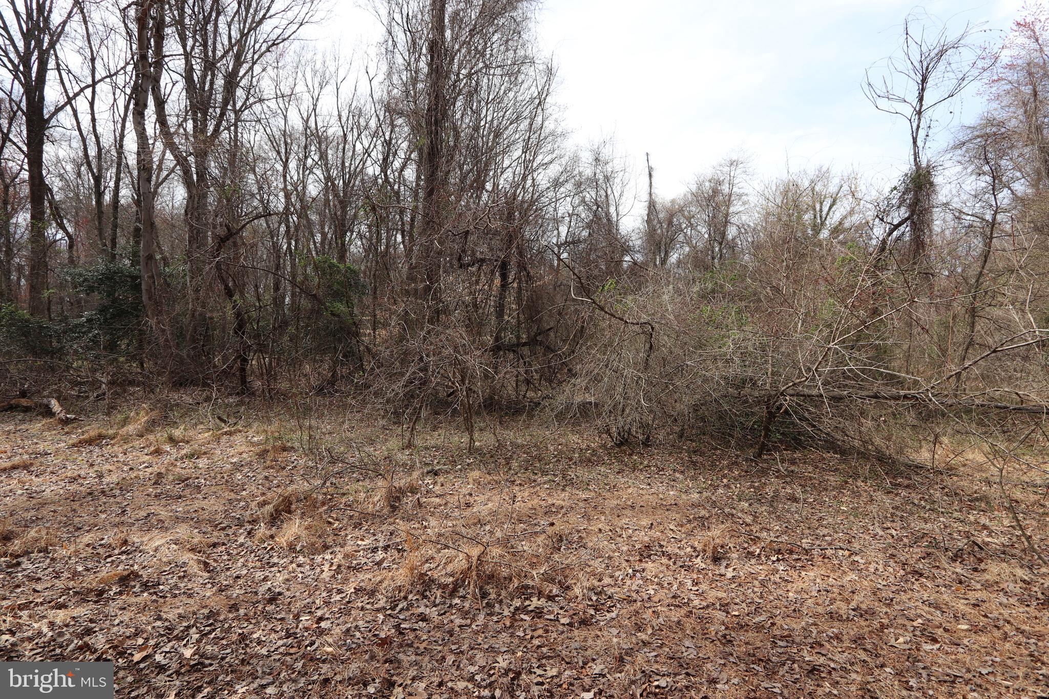 Lots 2-15 PENGUIN PLACE