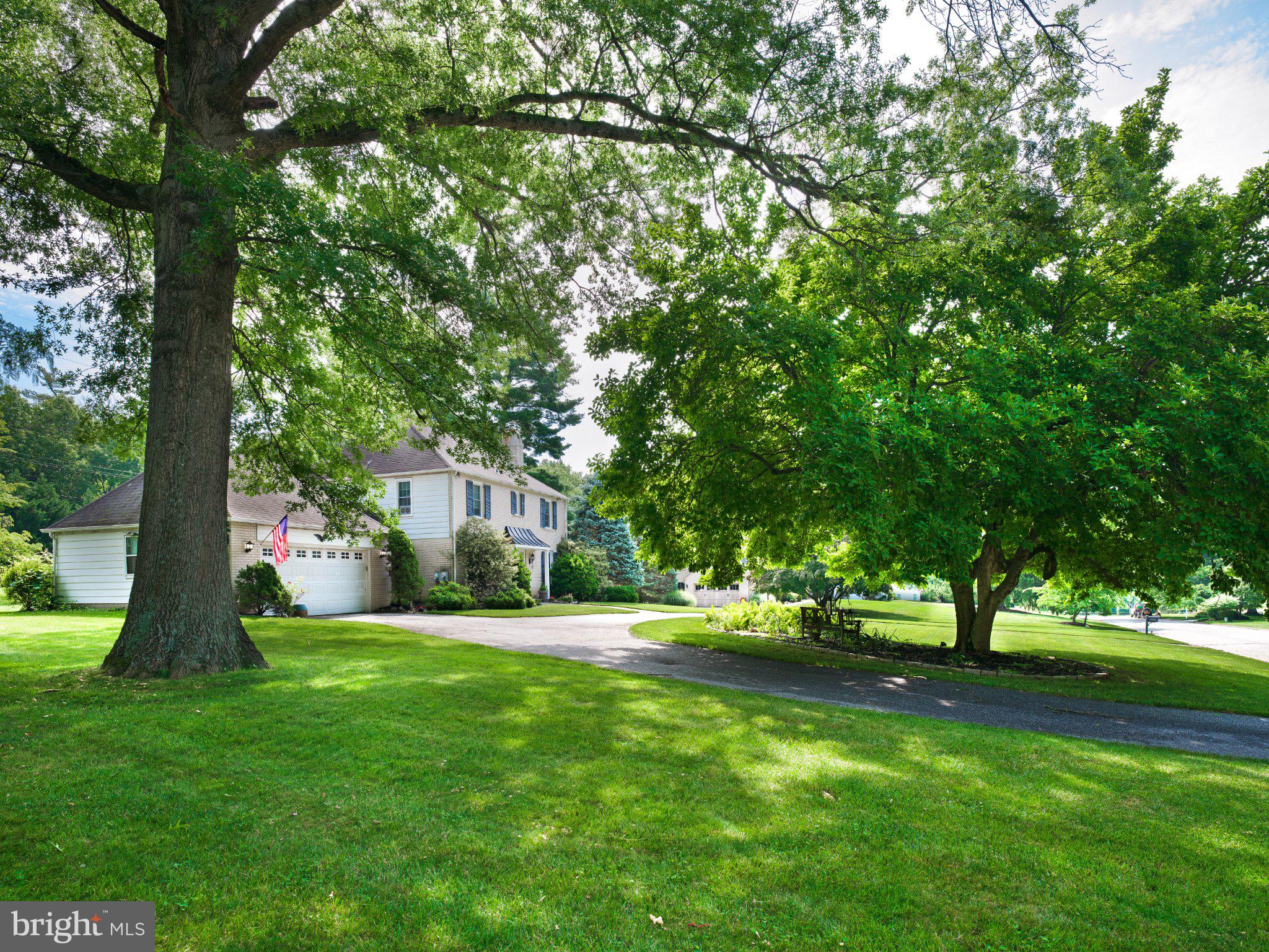 305 CONTINENTAL DRIVE