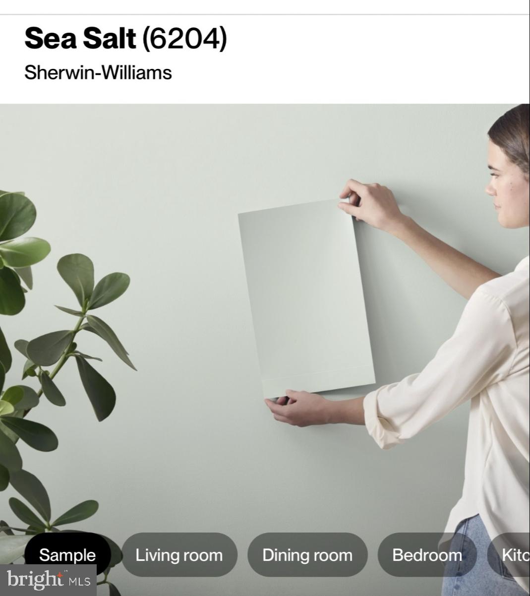 WILD ROSE - Residential