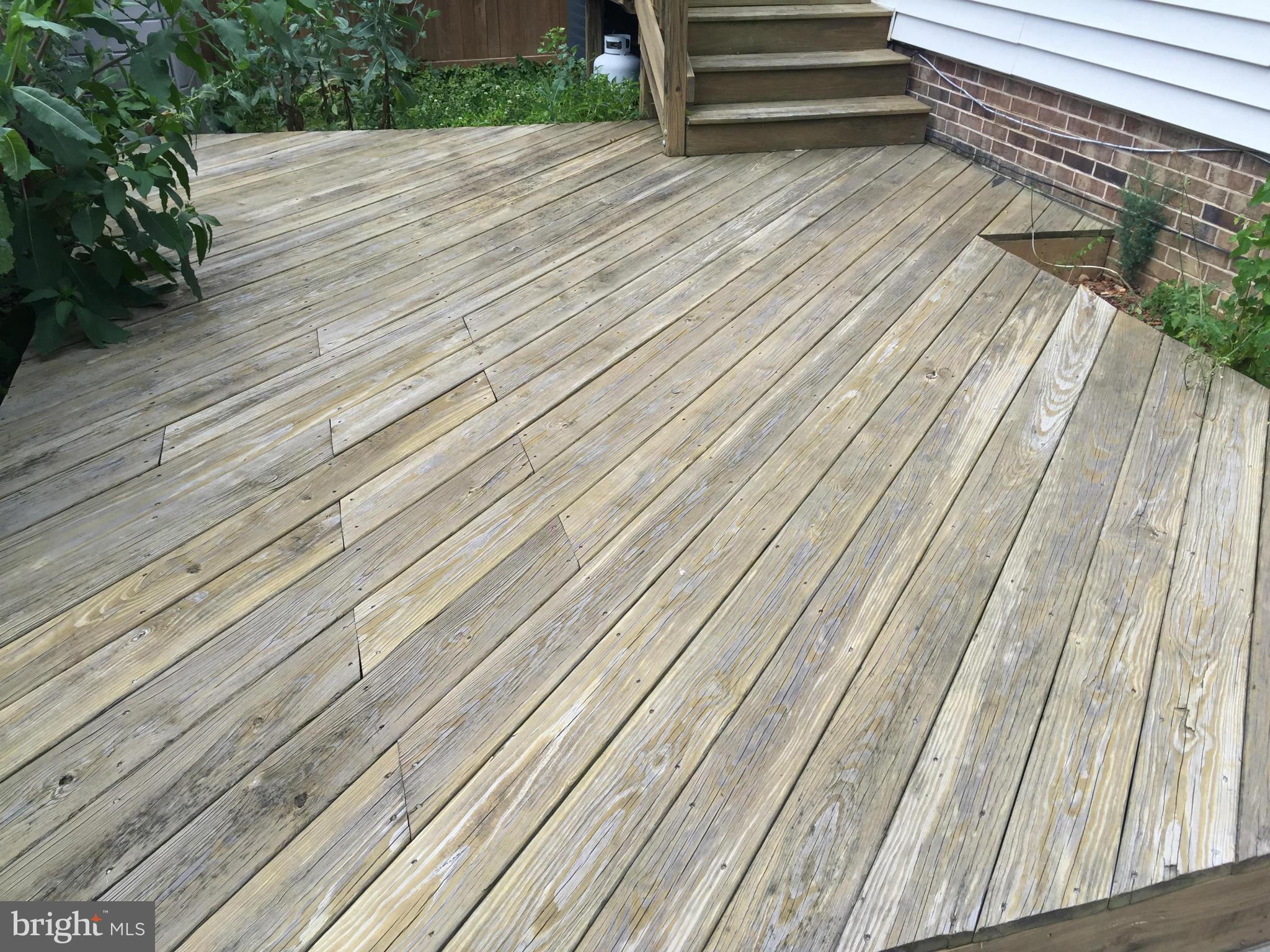 ALEXANDRIA - Residential Lease