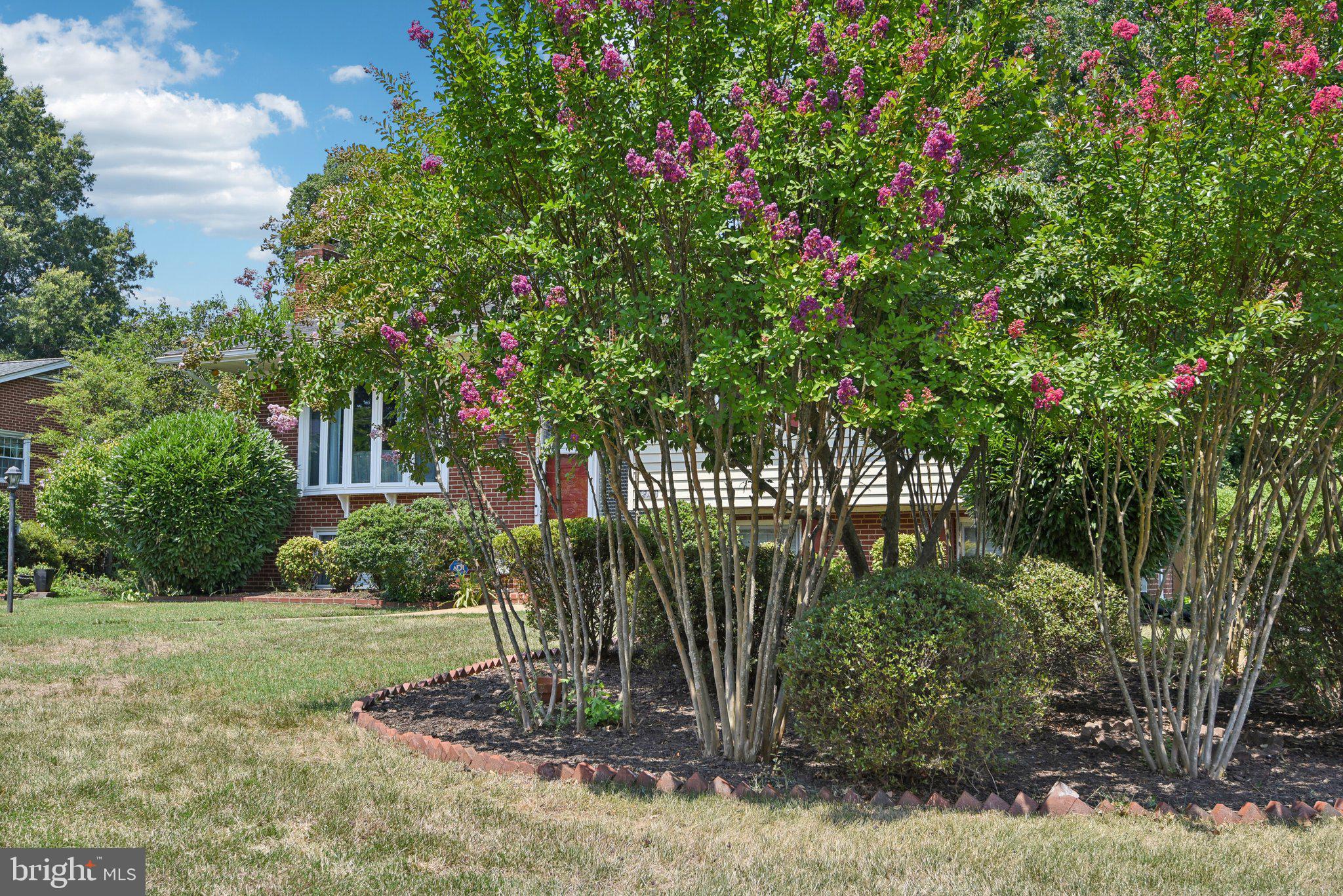 COLLINGWOOD ESTATES - Residential