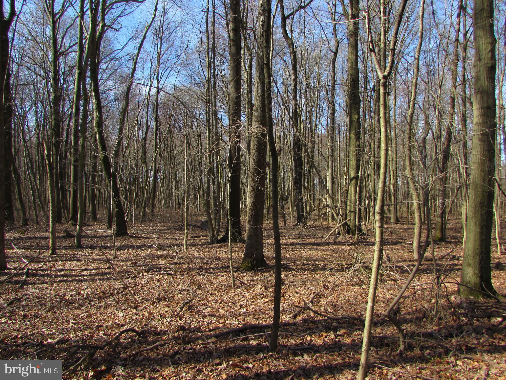 505 S PENNSVILLE AUBURN ROAD