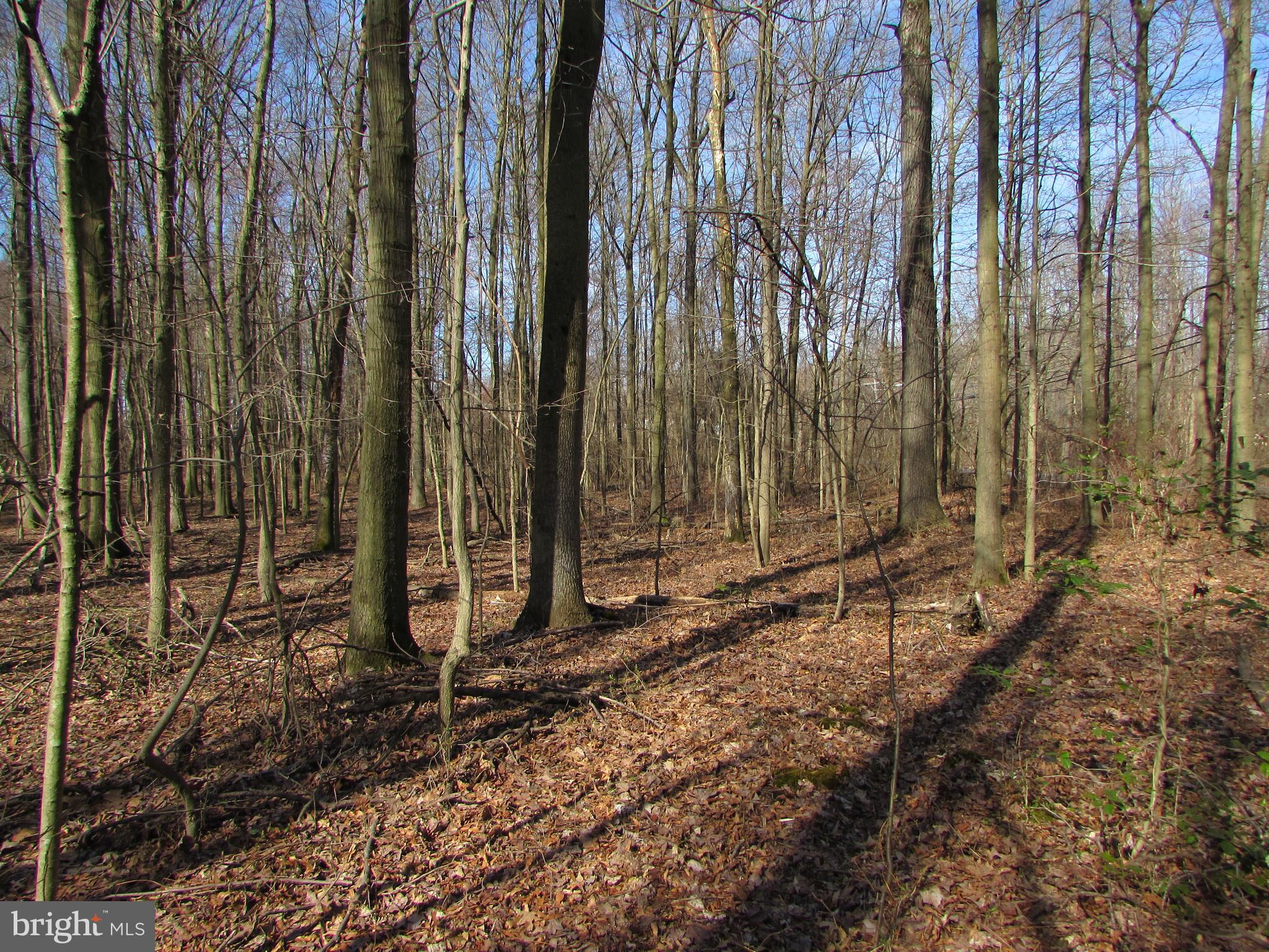 505 S PENNSVILLE AUBURN ROAD