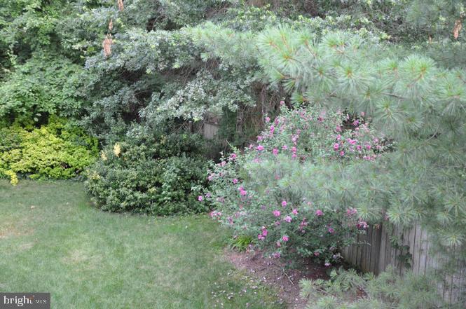 CARTERS GLEN - Residential Lease